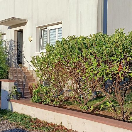 Strasbourg 3 Pieces Avec Jardin Lägenhet Brumath Exteriör bild