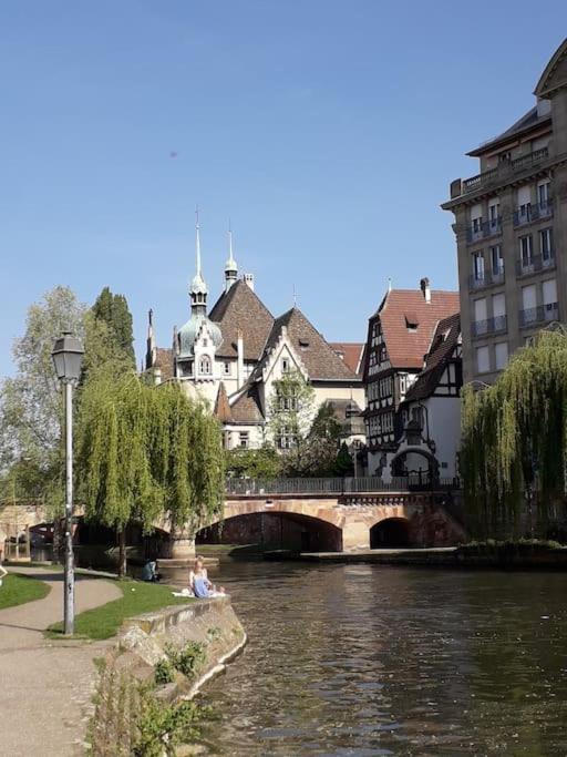 Strasbourg 3 Pieces Avec Jardin Lägenhet Brumath Exteriör bild
